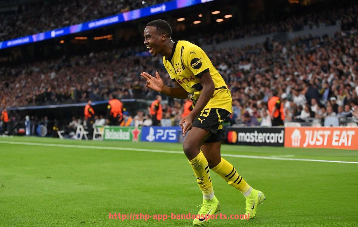 半岛体育app-铁血战车与青春风暴交织 德甲2013赛季球队竞技格局深度解析