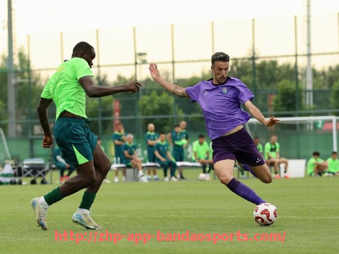 半岛体育app-英超球队的绰号趣味整理球迷文化与称呼由来