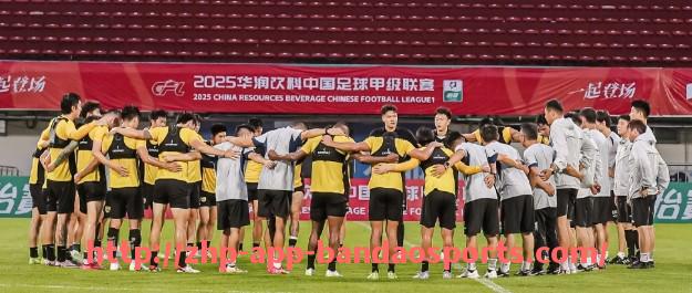 半岛体育app-法甲赛季最佳进攻球员评选及数据支持分析